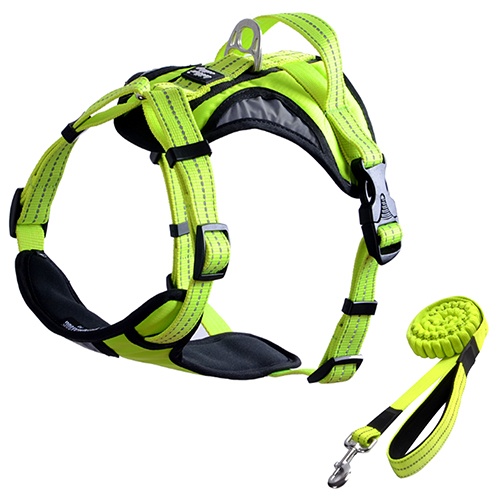 FOREYY Front Range Reflective Dog Harness and Leash Set-Green